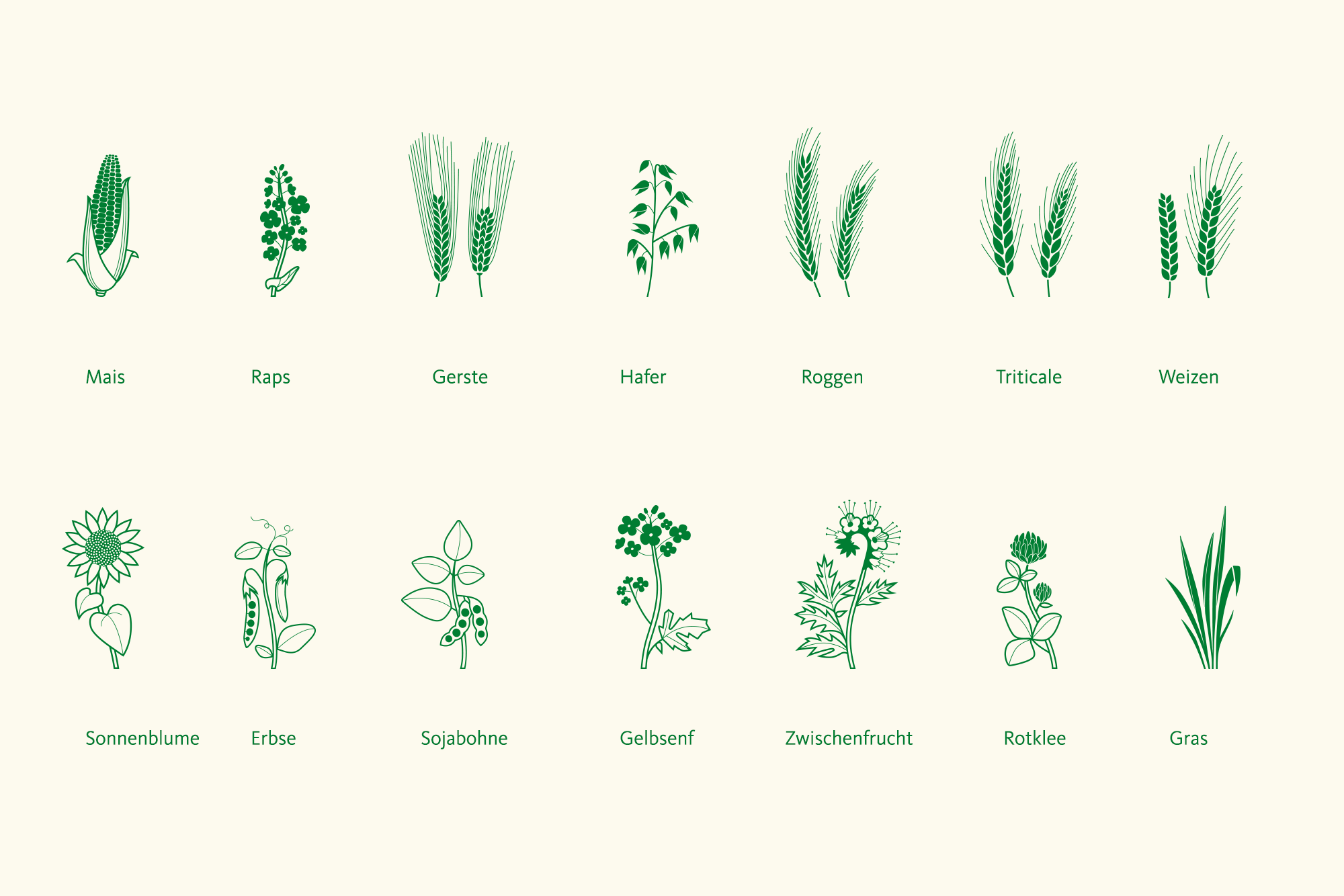 SAATBAU Saatgutsäcke